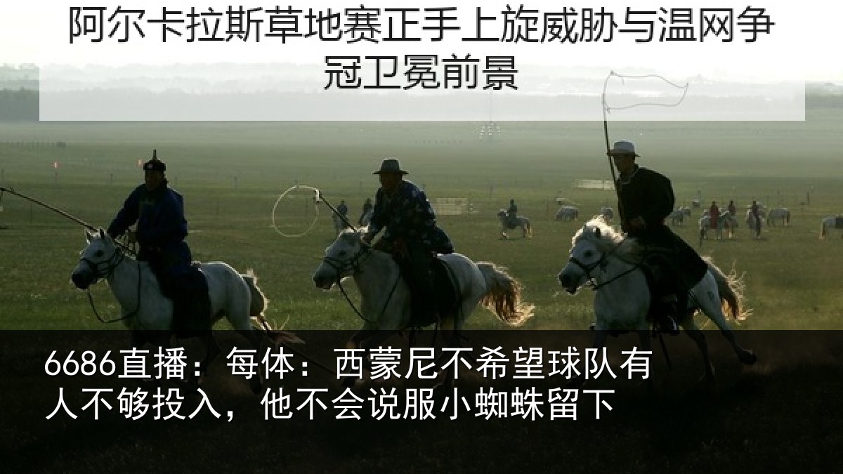 6686直播：每体相关情况有人相关情况服小蜘蛛留下