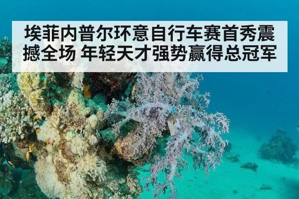 埃菲内普尔环意自行车赛首秀震撼全场 年轻天才强势赢得总冠军